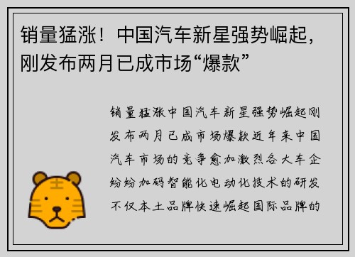 销量猛涨！中国汽车新星强势崛起，刚发布两月已成市场“爆款”