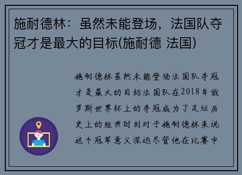 施耐德林：虽然未能登场，法国队夺冠才是最大的目标(施耐德 法国)