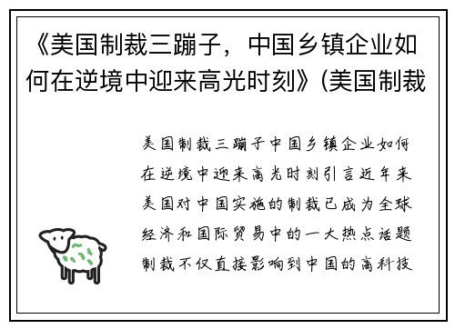 《美国制裁三蹦子，中国乡镇企业如何在逆境中迎来高光时刻》(美国制裁34家)
